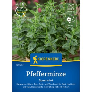 Kiepenkerl Saatgut Pfefferminze Spearmint