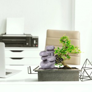Vdvelde Bonsai Baum S Form   Zen Wasserfall   Inkl Schere Und Nahrung