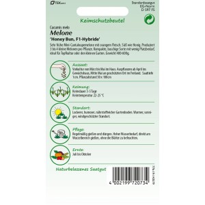 SAMEN PFANN Honig-Melone Honey Bun F1