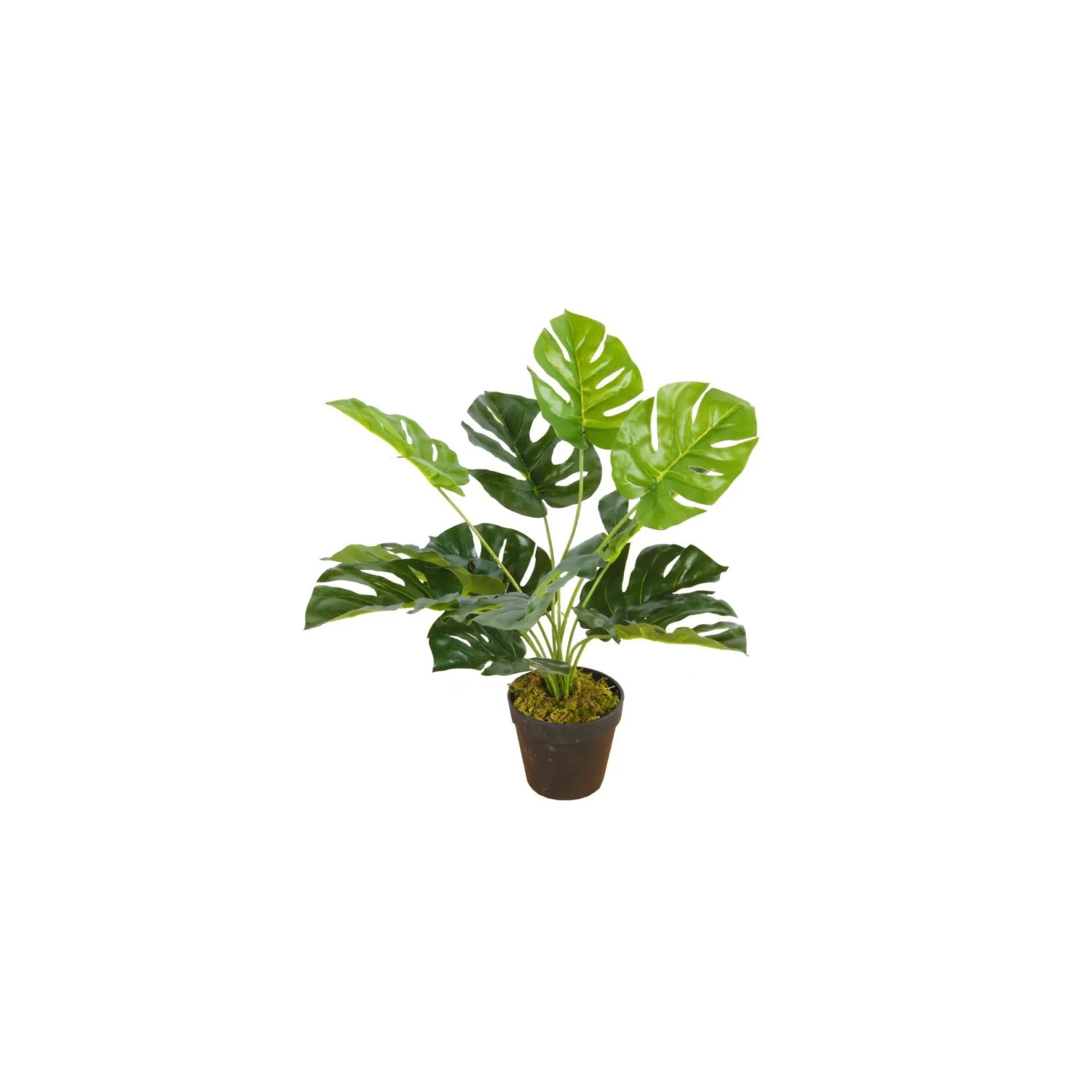 Lex Kunstpflanze Monstera Tischpflanze Zimmerpflanze 12 Blätter 45cm