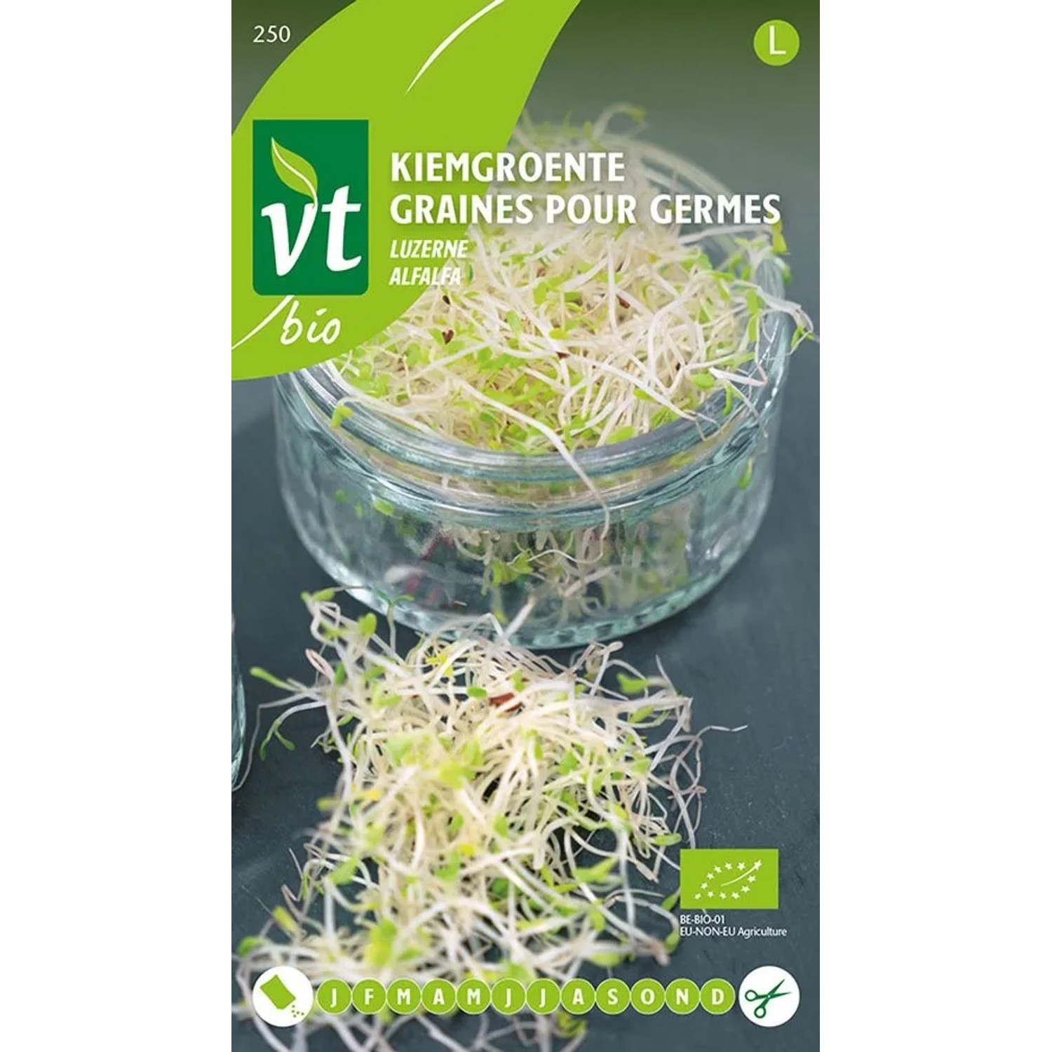 Körner für die Keimung Alfalfa SamenCa. 16 grReich an Vitaminen und Mineralien