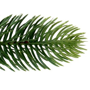 Detailaufnahme: Zweig der grünen Kunsttanne Nagano, 150 cm, für weihnachtliche Dekoration.