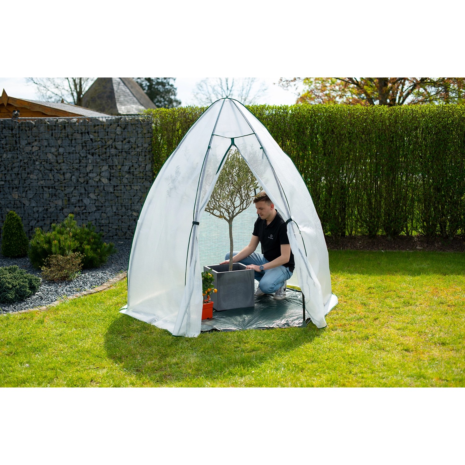 Westmann Überwinterungszelt Minze im Garten mit Mann und Pflanze im Topf.