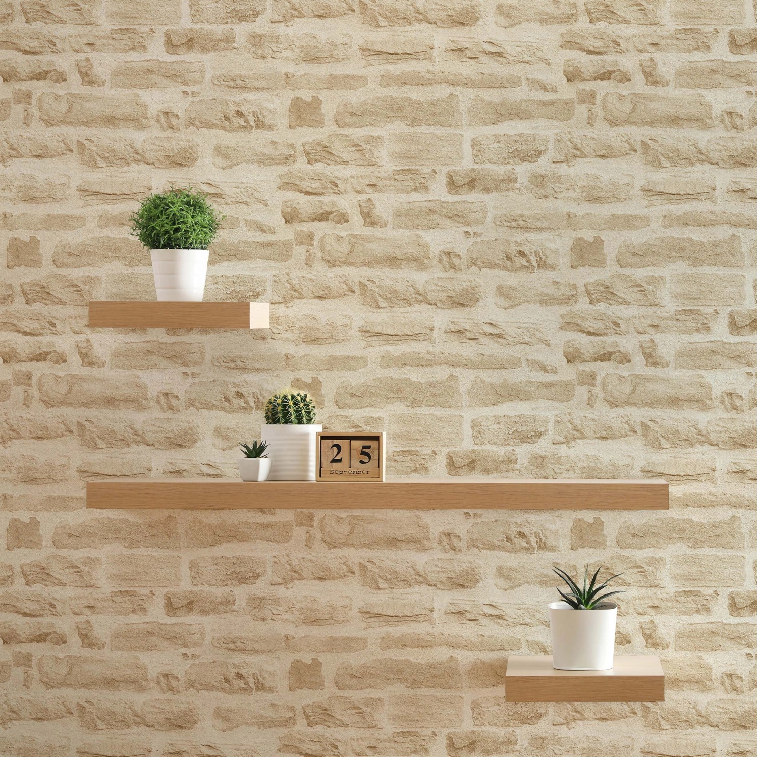 Tadessi Vliestapete Dino in Beige/Creme mit Steinoptik und Regalen mit Pflanzen.