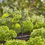 Gardena Sprühdüse 360° im Gemüsebeet. Bewässerung mit Micro-Drip-System.