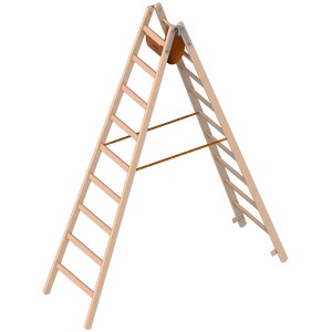 Layher Holzstehleiter 2x9 Sprossen mit Werkzeugtasche und Spreizsicherung.