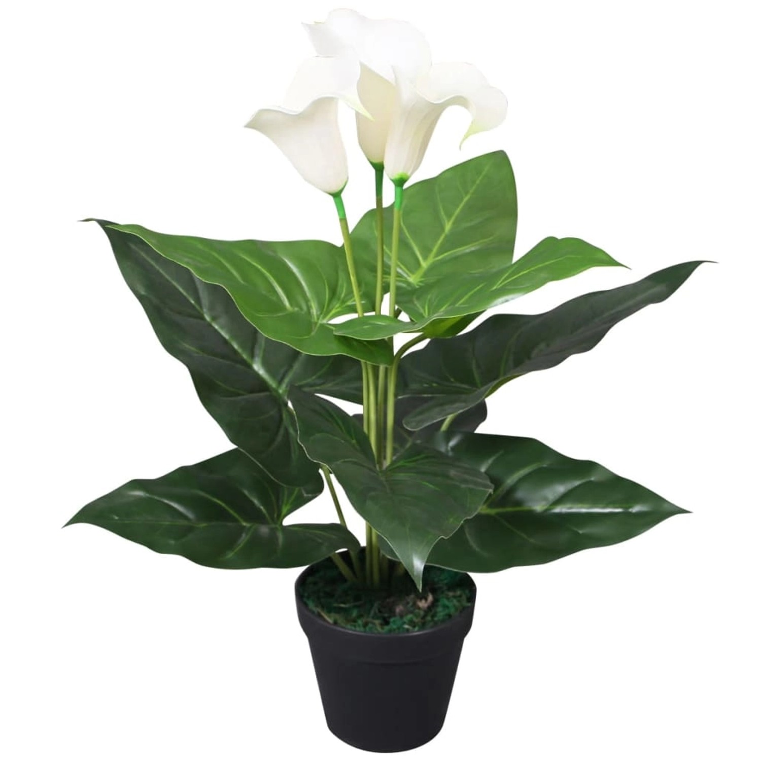 Künstliche Calla-lilie Mit Topf 45 Cm Weiß günstig online kaufen