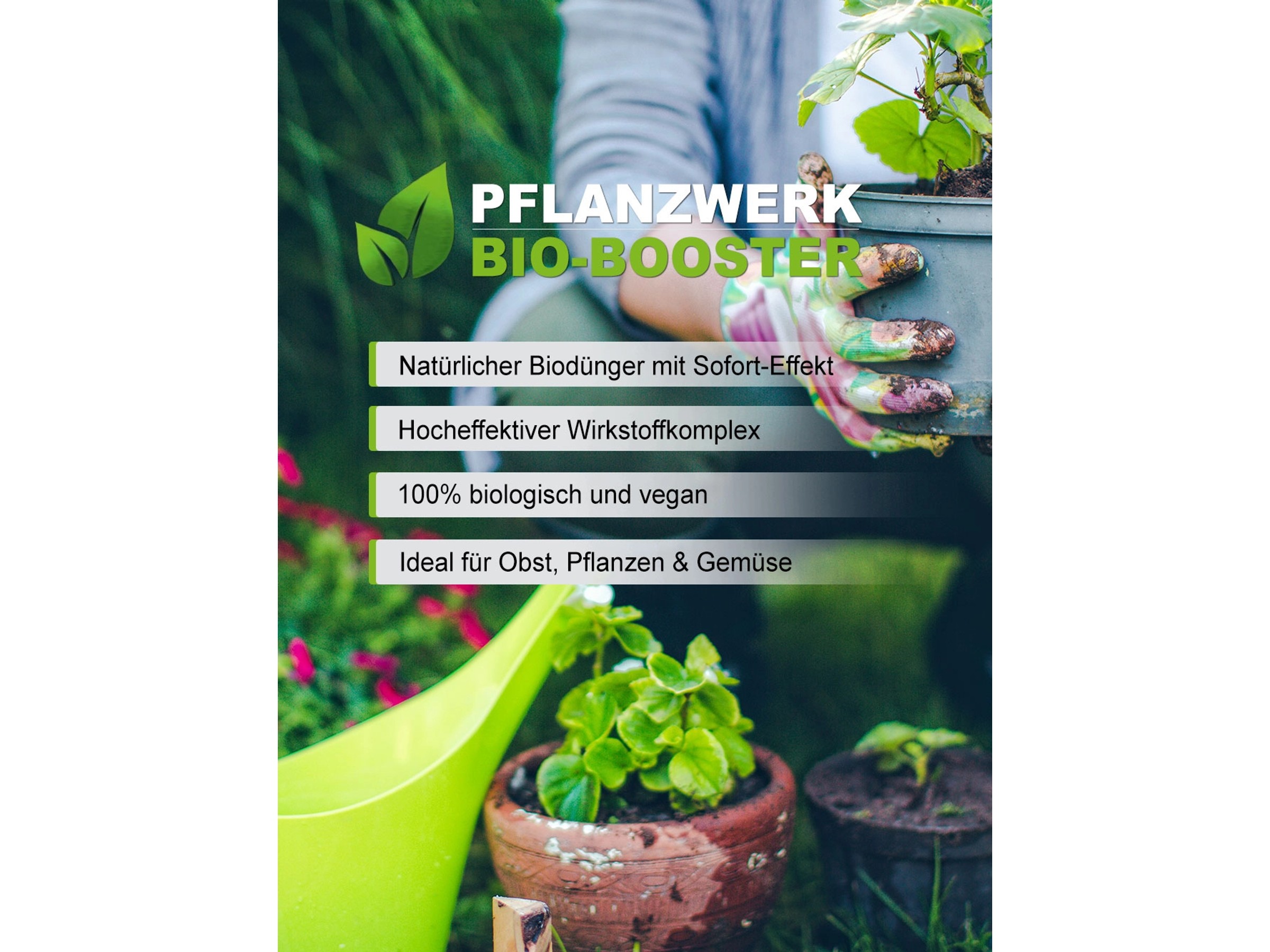 welchen dnger nimmt man fr olivenbume Olivenbaum Dnger von Flora Boost