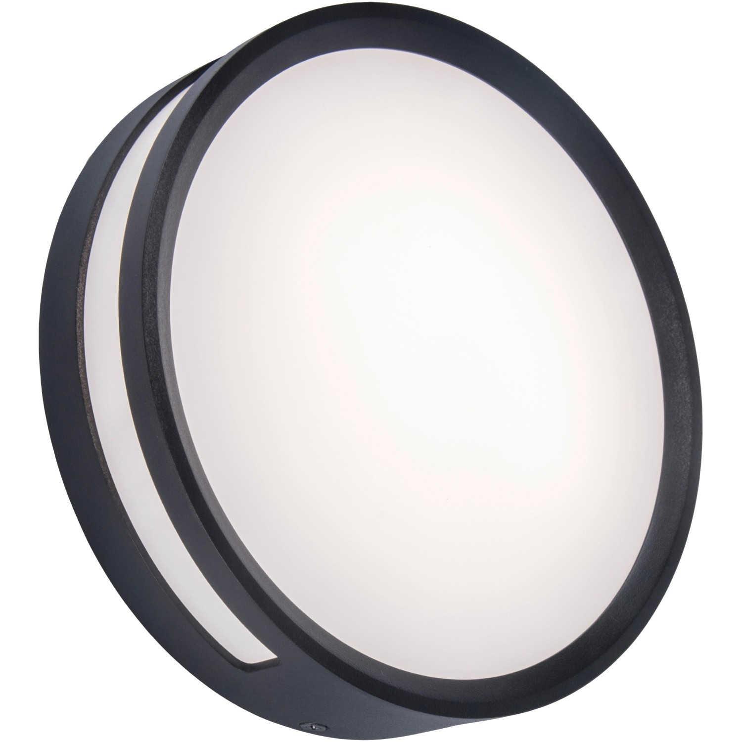 Moderne Lutec LED-Außenwandleuchte Rola in Anthrazit, runde Form. Wandlampe für den Außenbereich.