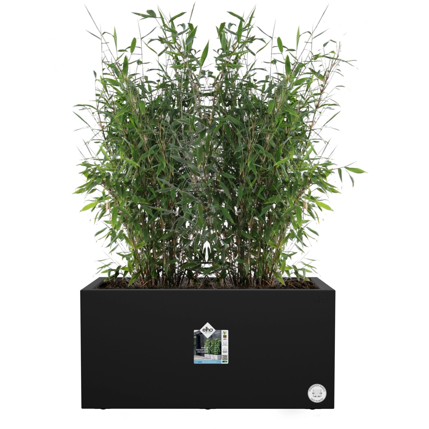 Schwarzer Elho Blumentopf Vivo Next Lang mit Rollen, bepflanzt mit Bambus.