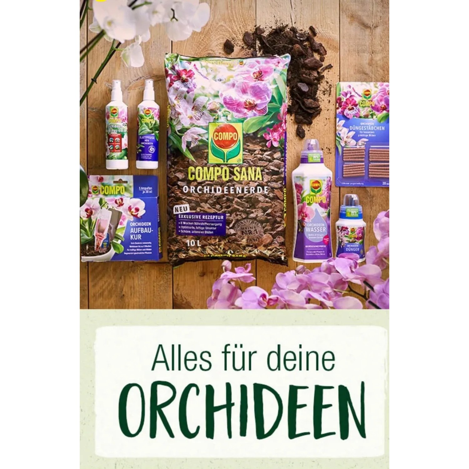 roter ahorn düngen Japanischer Ahorn Dünger von Flora Boost für gesunde Fächerahorn-Pflanzen main image 1