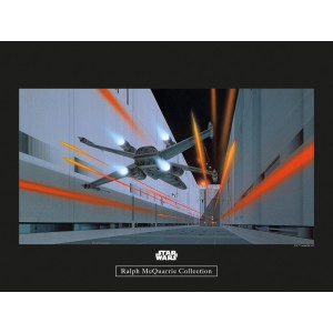 Star Wars Wandbild: X-Wing im Trench Run, 40x30 cm. Detailreiches Bild für Star Wars Fans.