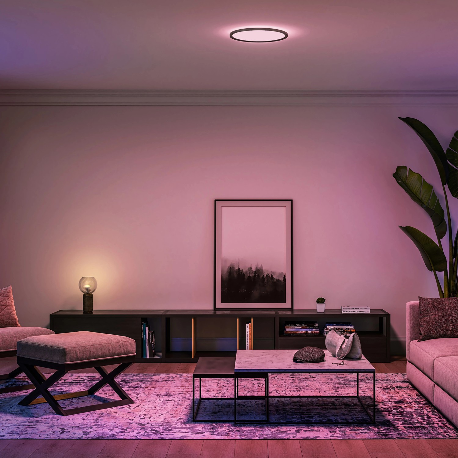 Philips Hue LED-Panel Tento White & Color Ambiance M Schwarz Ø 42,1 cm_3