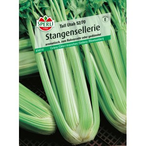 Sperli Stangensellerie Tall Utah 52/70 Samenpackung mit frischem, grünem Sellerie.