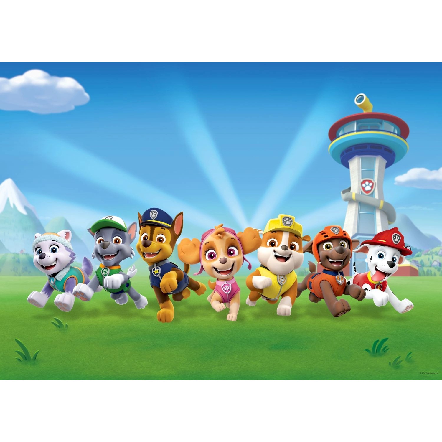 Sanders & Sanders Poster Paw Patrol Blau und Grün 160 x 110 cm 600674 günstig online kaufen