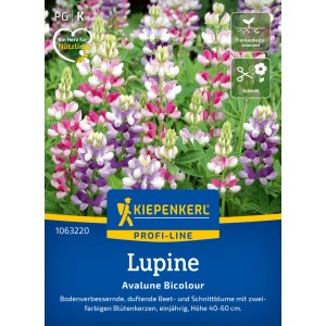 Kiepenkerl Lupine Avalune Bicolour Saatgut mit rot-weißen und lila-weißen Blütenkerzen.