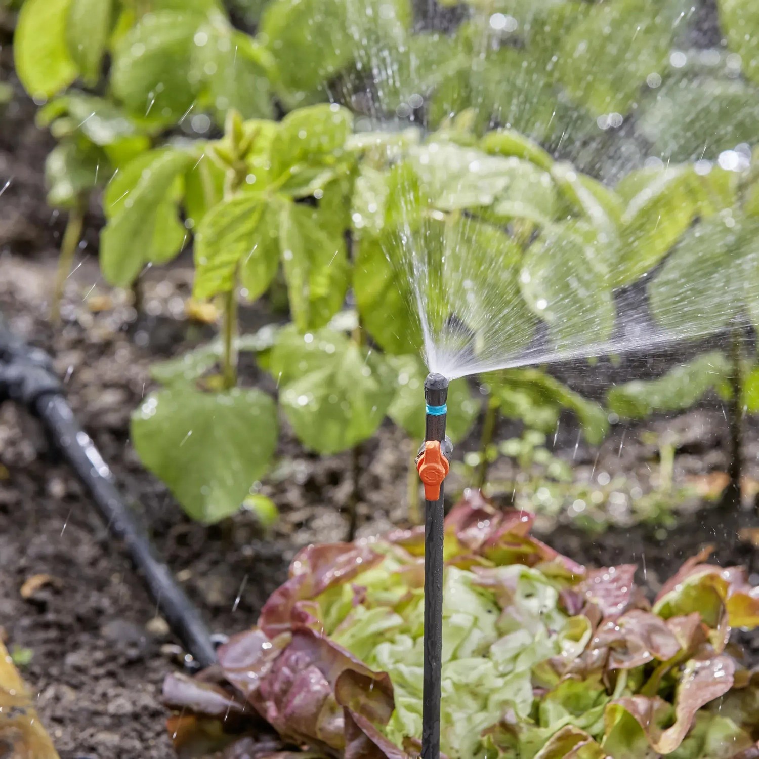 Gardena Verlängerungsrohr 20 cm im Einsatz zur Bewässerung im Micro-Drip-System.