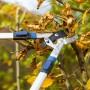 LUX Ratschen-Amboss Astschere Classic beim Schneiden eines Astes im Garten.