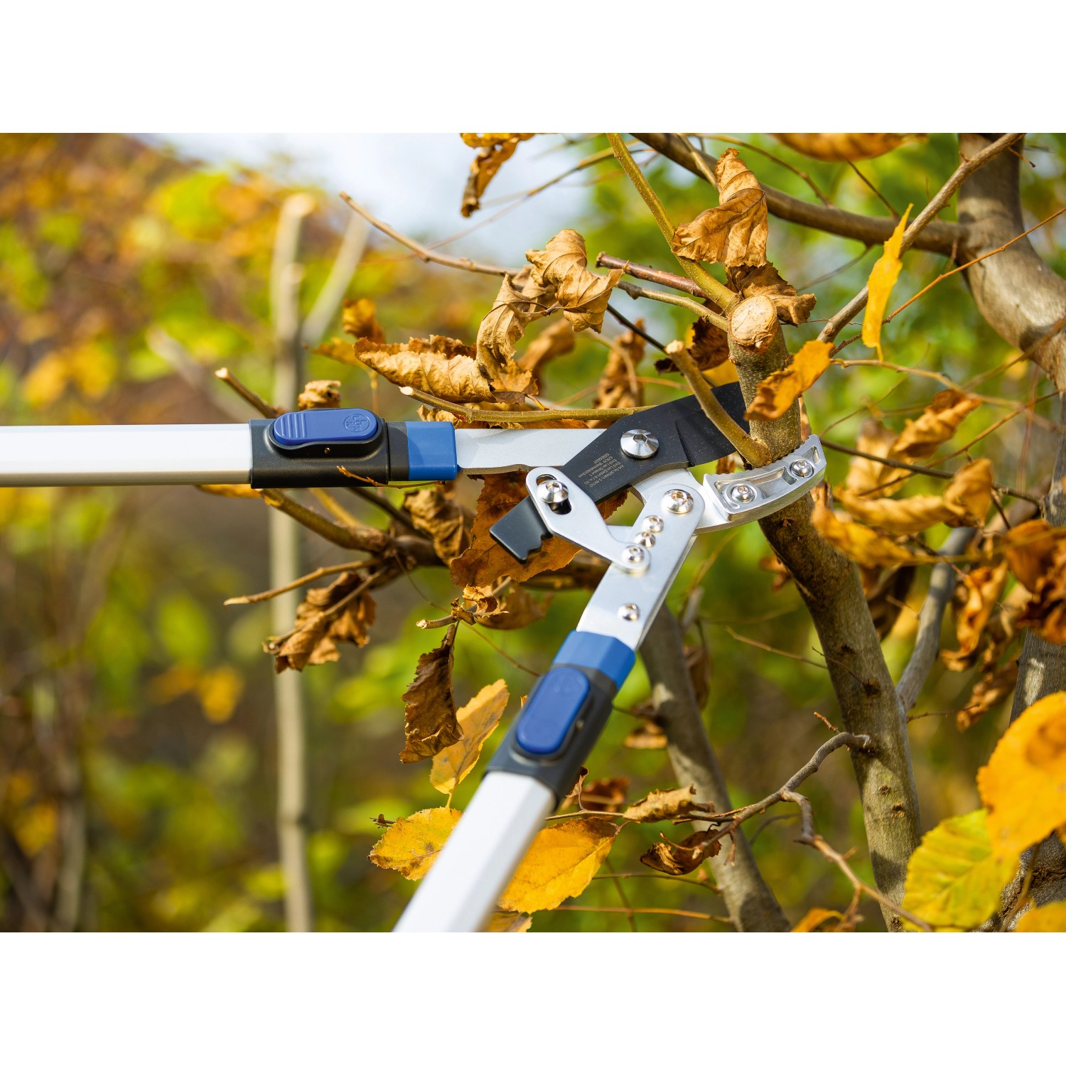 LUX Ratschen-Amboss Astschere Classic beim Schneiden eines Astes im Garten.