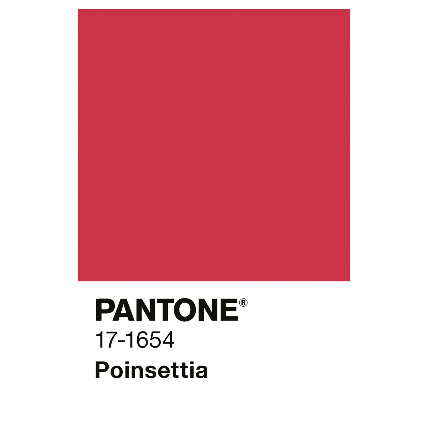 Quadratische Farbprobe der Alpina Innenfarbe Pantone Poinsettia Rot. Kräftige Wandfarbe für Innenräume.