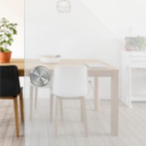 SOTECH 1 Paar Schiebetürgriff RANA Ø64 mm Edelstahl Gebürstet für Glastüren