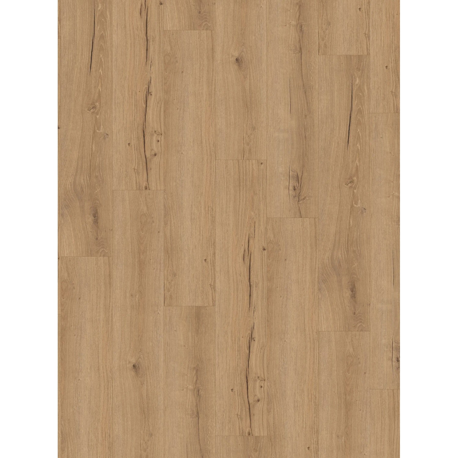 Parador Click-Vinylbodenmuster Basic 5.3 Eiche Trevia Natur