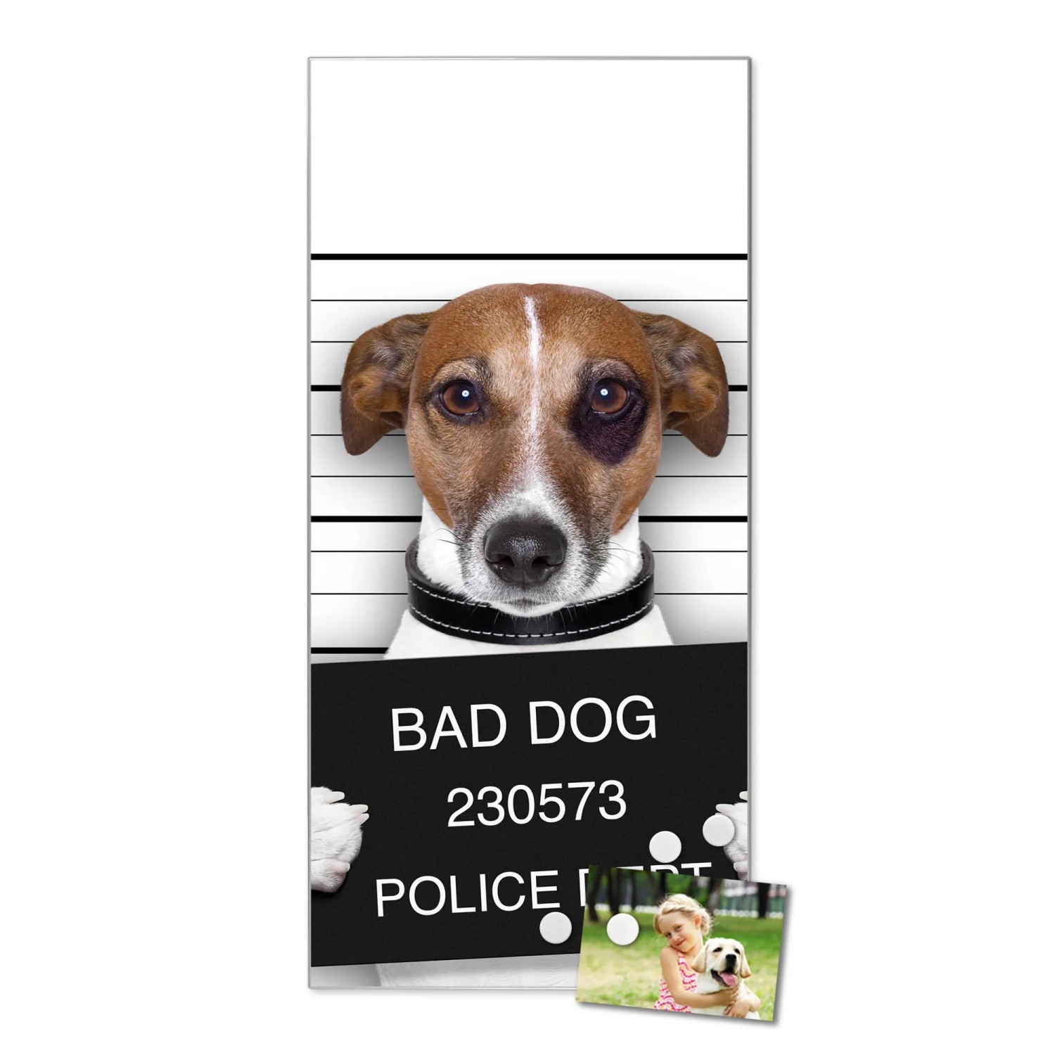 Banjado Magnettafel mit Hundemotiv "Bad Dog Jack Russel", silberne Magnetwand für Notizen und Fotos.