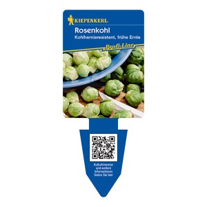 Kiepenkerl Rosenkohl 6er Schale, junge, grüne Kohlsprossen auf Holzbrett.