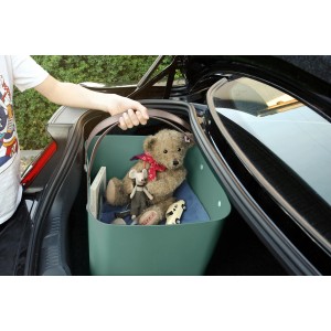 Rotho Multibox Albula 40 l Mistletoe Green