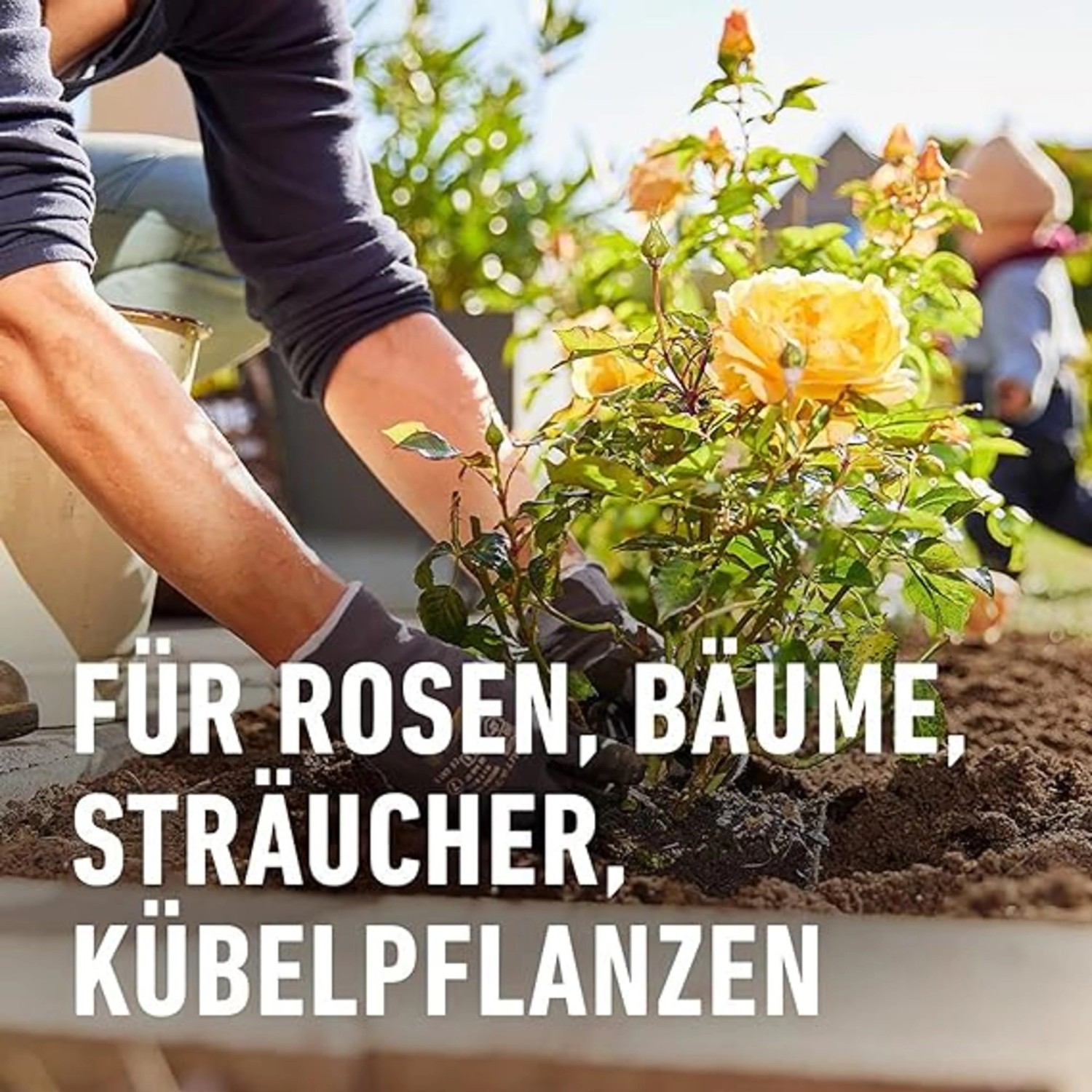 Compo Wurzel-Turbo 50 g_8