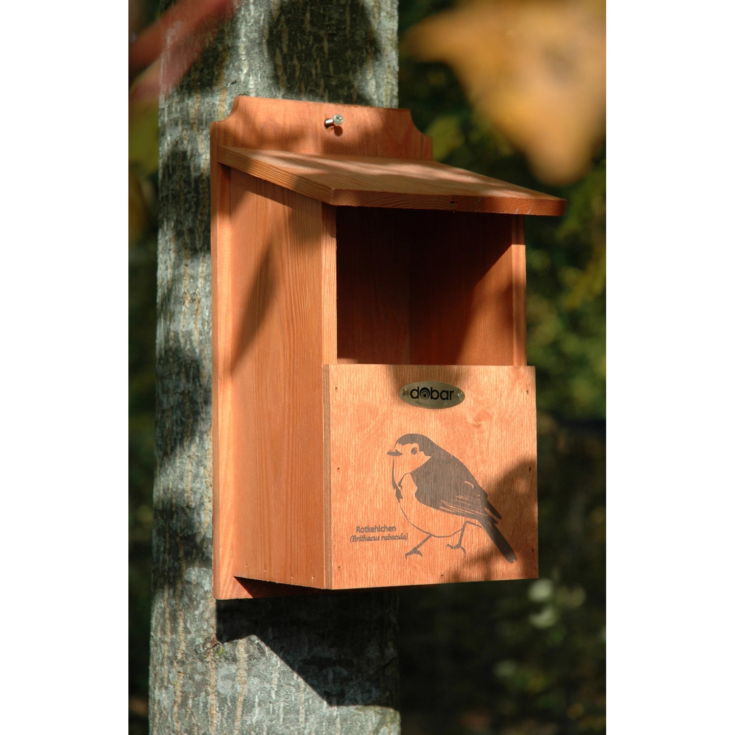 Dobar Nistkasten aus Kiefernholz mit Rotkehlchen-Motiv, befestigt an einem Baum.