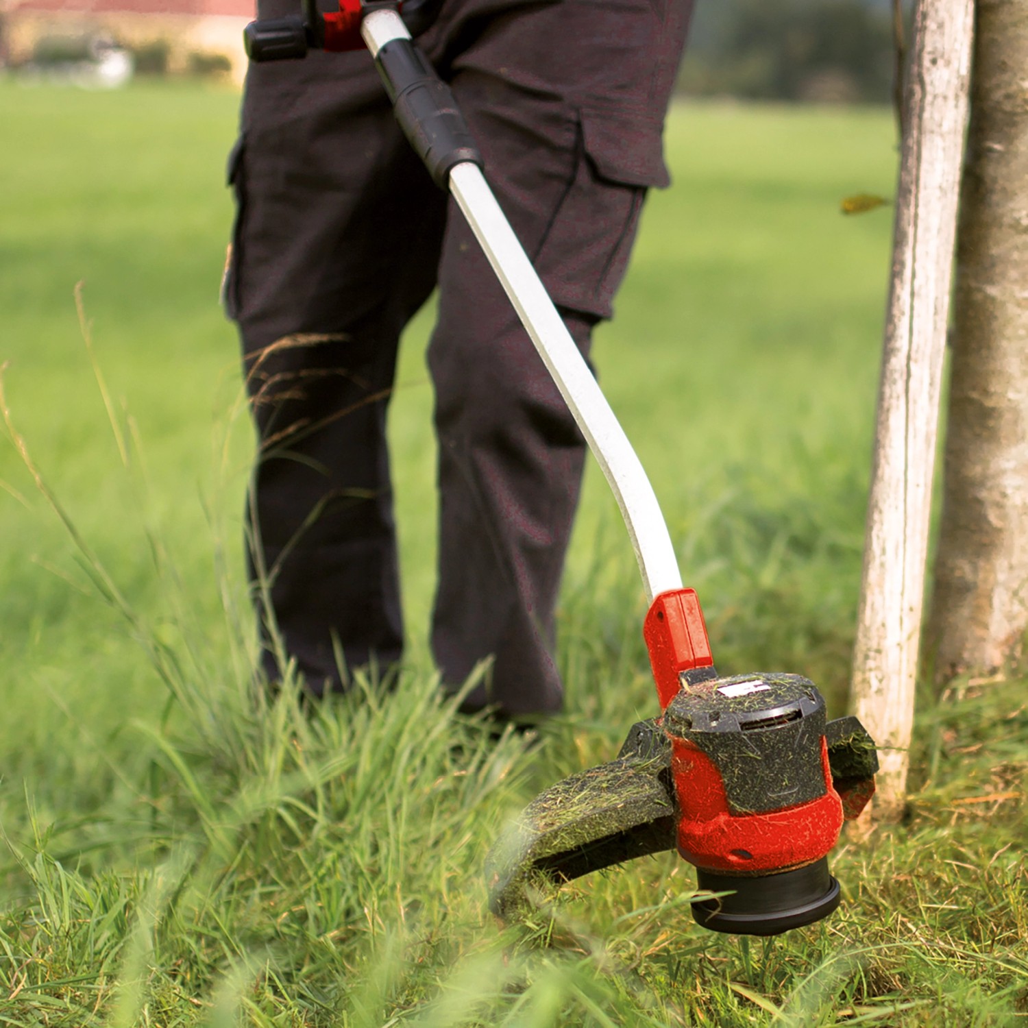 Einhell Akku-Rasentrimmer GE-CT 36/30 Li E-Solo beim Trimmen von Gras.