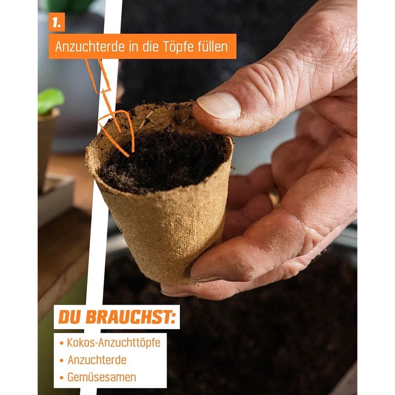 Hand befüllt Proflora Kokosfaser Anzuchttopf mit Erde. Ideal für Pflanzenanzucht.