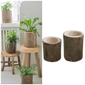 Holz-Baumstamm Pflanztopf, Ø 13cm, rustikaler Übertopf aus Naturholz für Pflanzen.