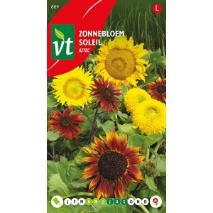 Sonnenblume 'Aztek' Samen Ca. 1,25 g Große Blüten