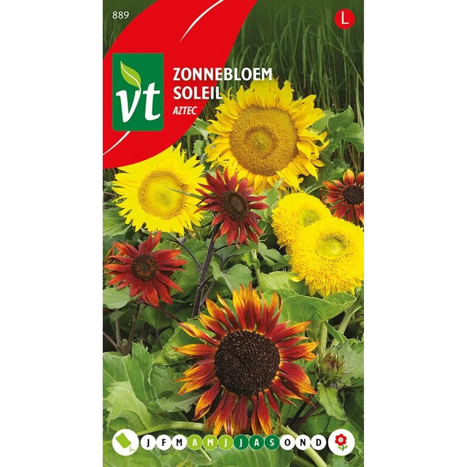 Sonnenblume 'Aztek' Samen Ca. 1,25 g Große Blüten