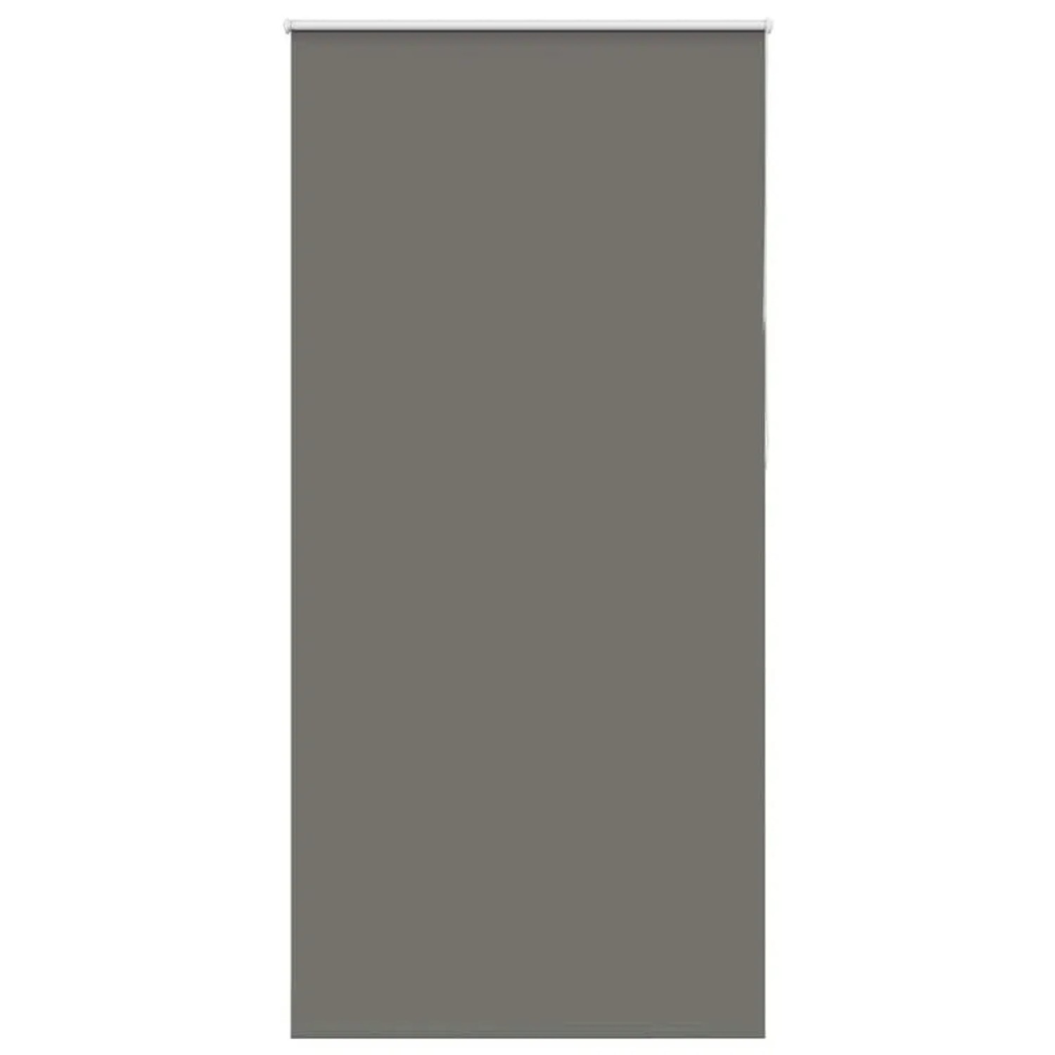 vidaXL Verdunkelungsrollo Grau 100x230 cm Stoffbreite 95,7cm Polyester 4011206