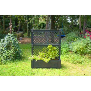Anthrazitfarbener KHW Pflanzkasten mit Spalier, 140x100x43 cm, bepflanzt im Garten.