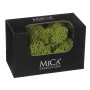 Mica Decorations Rentiermoos, grün, in schwarzer Verpackung. Ideal für Deko und Basteln.