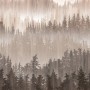 AS-Creation Fototapete Vlies Wald in Braun-Beige mit Waldmotiv.