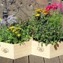 Bieneninsel Pflanzset mit Holzwabe und bunten Blumen als Futteroase für Bienen und Insekten.