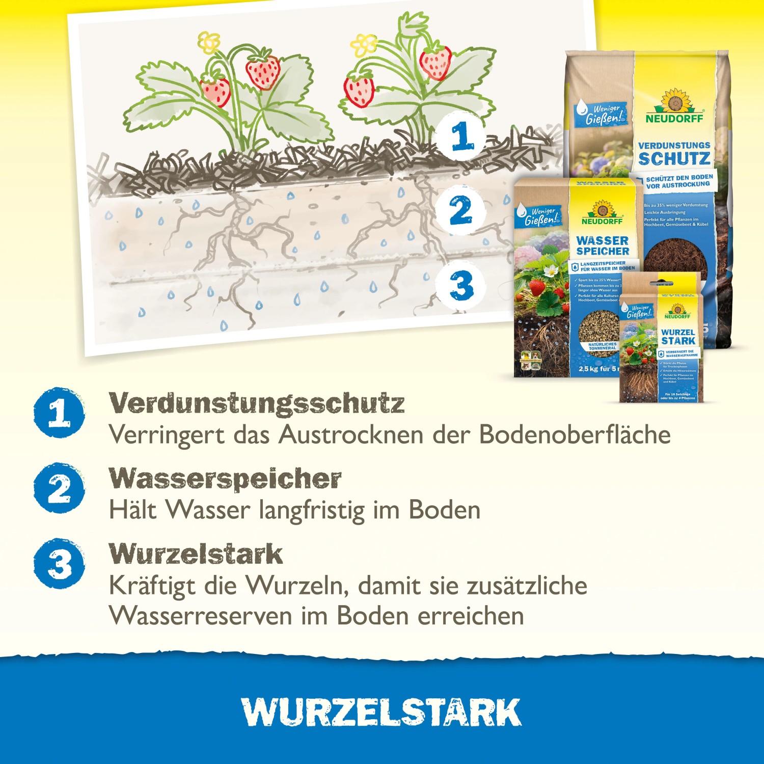 Neudorff MyccoVital Wurzelfit: Illustration der Wirkungsweise mit Erdbeerpflanzen und Produktpackungen.