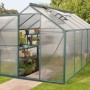 Dunkelgrünes Gewächshaus Triton 6200 mit geöffneter Tür und Pflanzenregal im Garten.