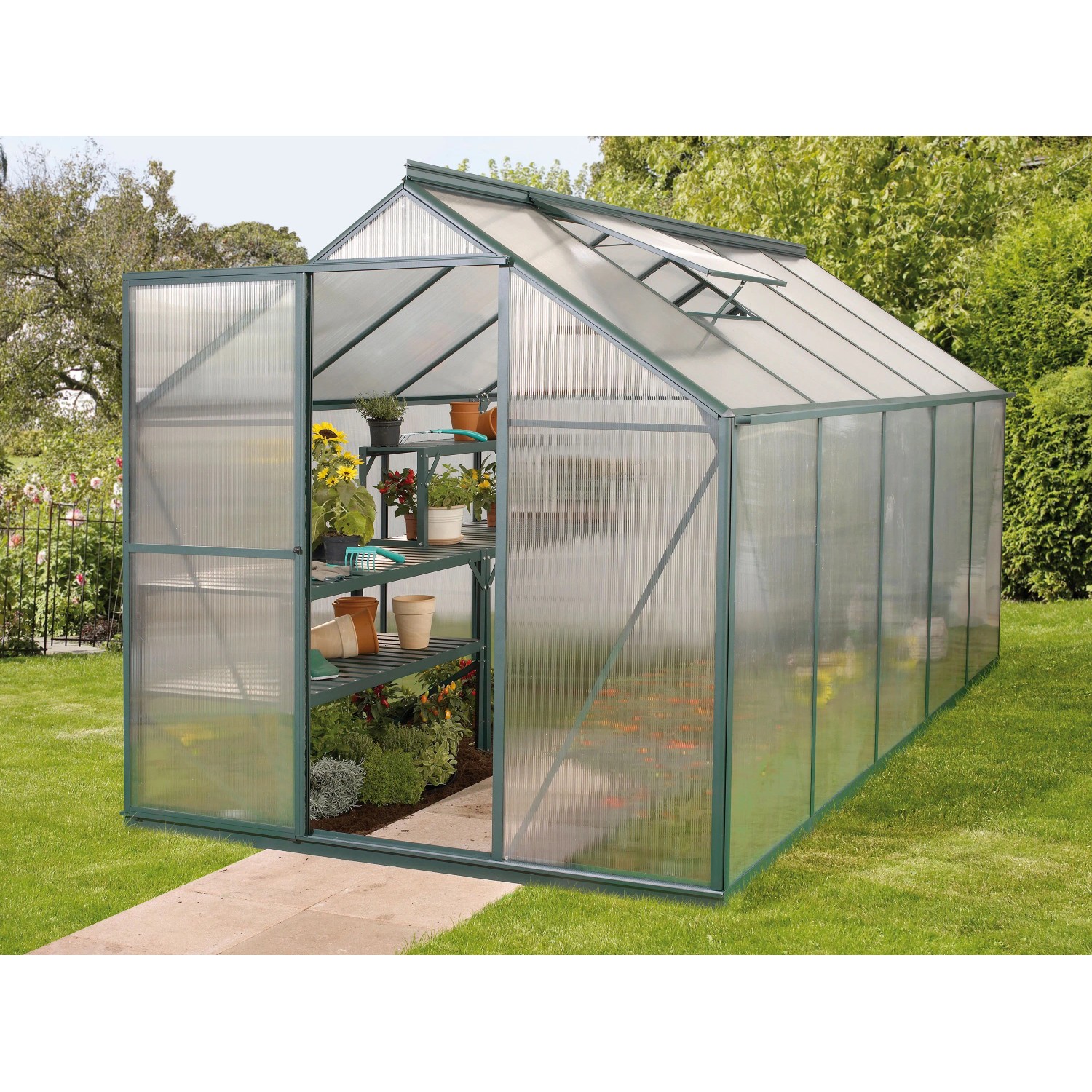 Dunkelgrünes Gewächshaus Triton 6200 mit geöffneter Tür und Pflanzenregal im Garten.