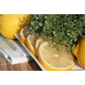 Frischer Zitronen-Thymian mit Zitronenscheiben auf einem Teller. Küchenkräuter für Feinschmecker.