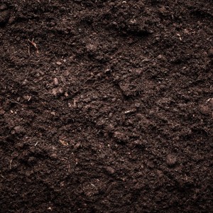 Nahaufnahme von Galamio Gärtnerkompost, einer dunklen, humusreichen Hochbeeterde.