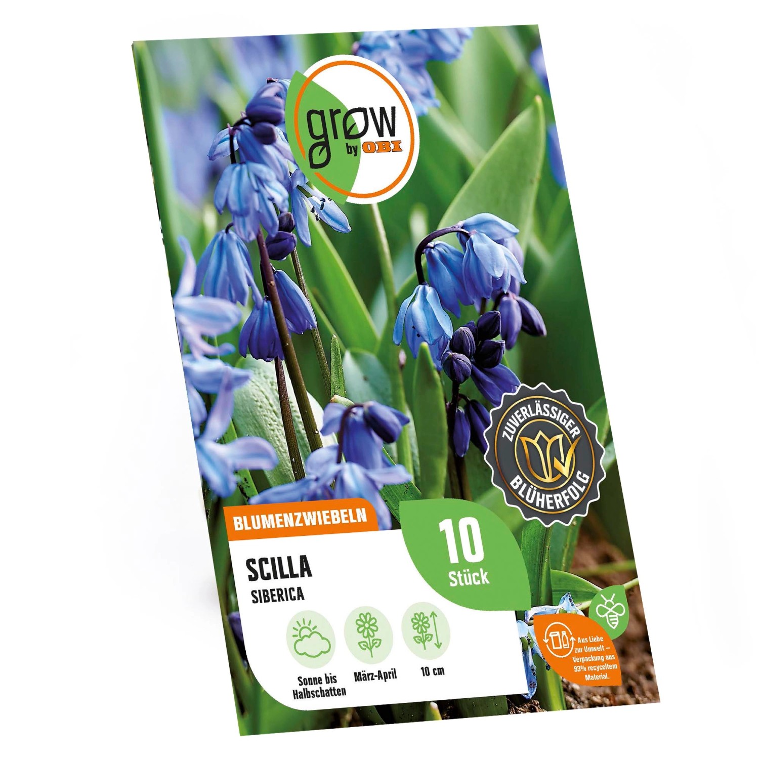 GROW by OBI Scilla siberica Blau 10 Stück günstig online kaufen