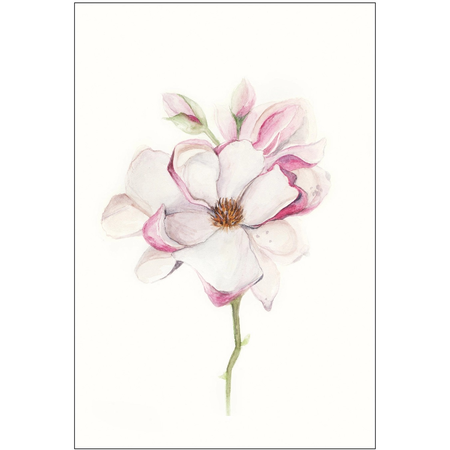 Komar Wandbild Magnolia Blossom 30 x 40 cm günstig online kaufen