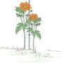 Illustration: Bellissa Pflanzstab Premium 130 cm, verzinkt, mit orangefarbenen Blumen und Rankhilfe im Garten.
