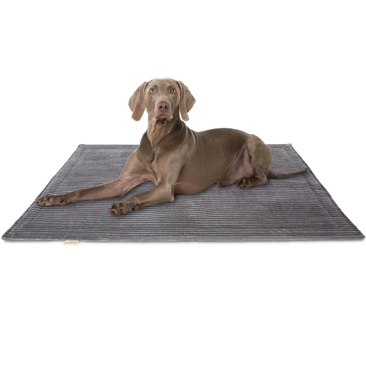 Graue Knuffelwuff Hundematte Timor Cord (80x60cm) mit liegendem Hund.